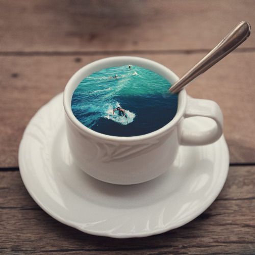 Wie Kaffee dein Surfen verbessert...